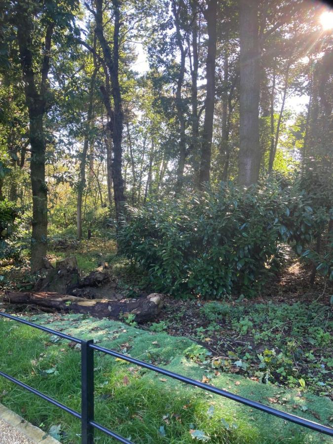 Woodland Retreat, Market Lane, Blundeston, Lowestoft Eksteriør bilde
