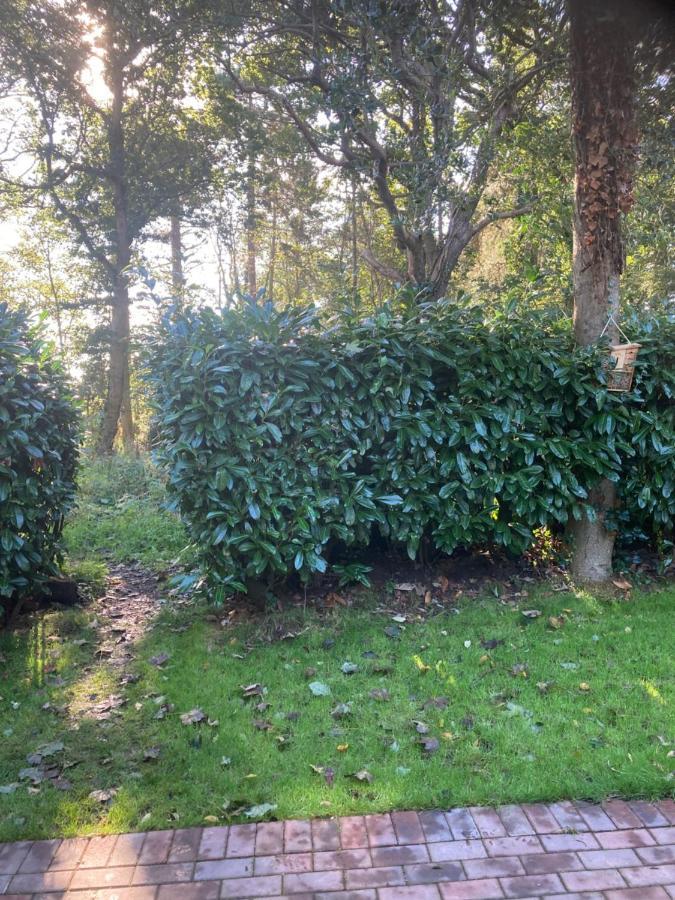 Woodland Retreat, Market Lane, Blundeston, Lowestoft Eksteriør bilde