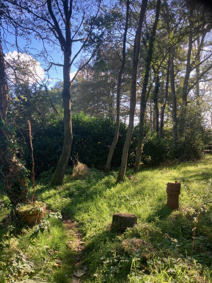 Woodland Retreat, Market Lane, Blundeston, Lowestoft Eksteriør bilde