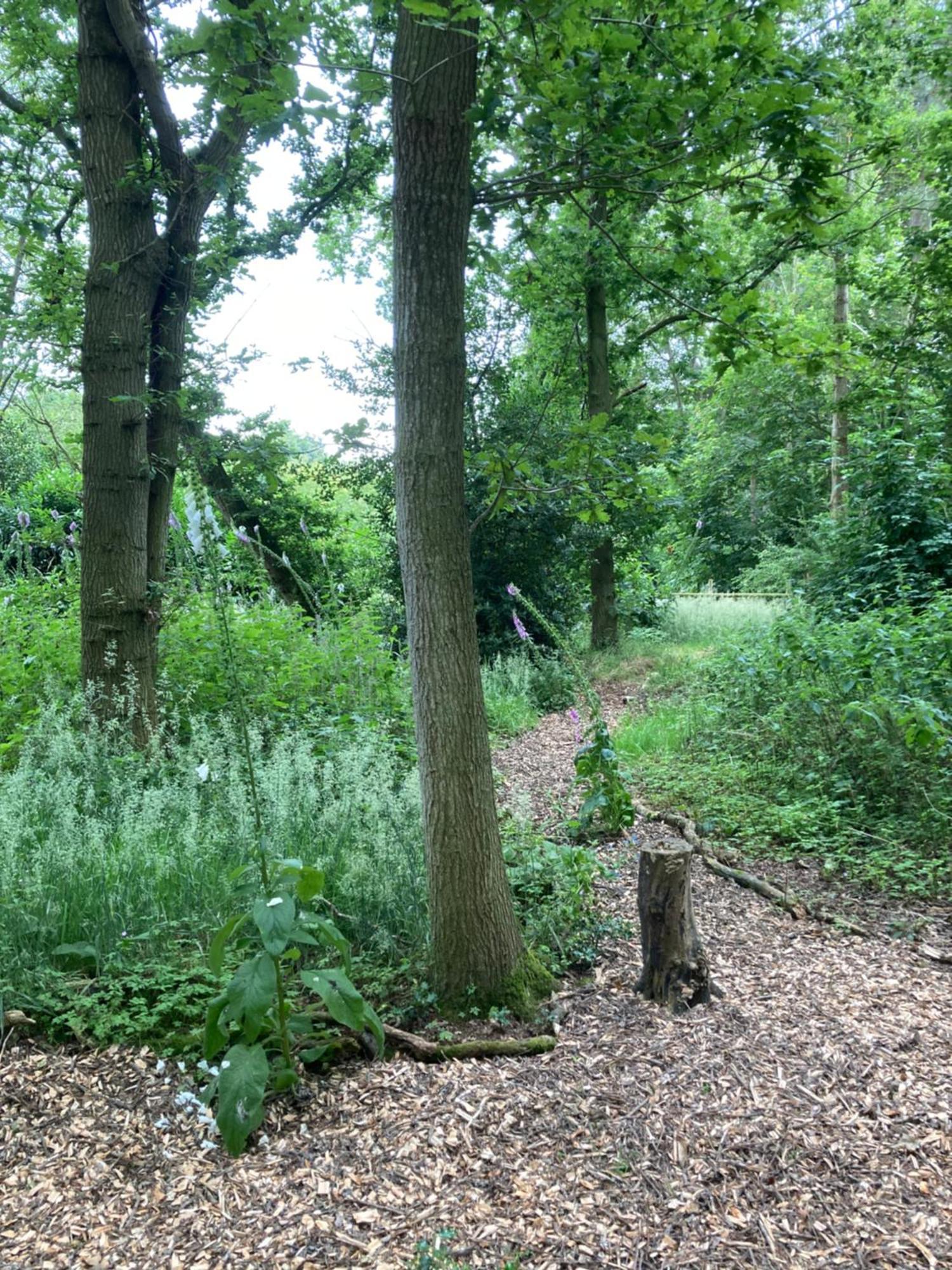 Woodland Retreat, Market Lane, Blundeston, Lowestoft Eksteriør bilde